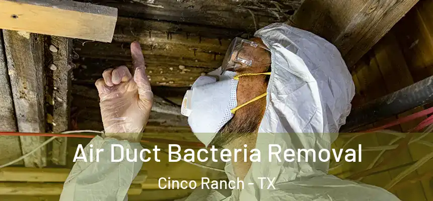  Air Duct Bacteria Removal Cinco Ranch - TX