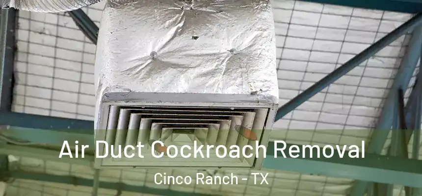  Air Duct Cockroach Removal Cinco Ranch - TX