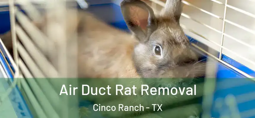  Air Duct Rat Removal Cinco Ranch - TX