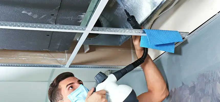 Our Air Duct Rodent Removal Services in Cinco Ranch, TX