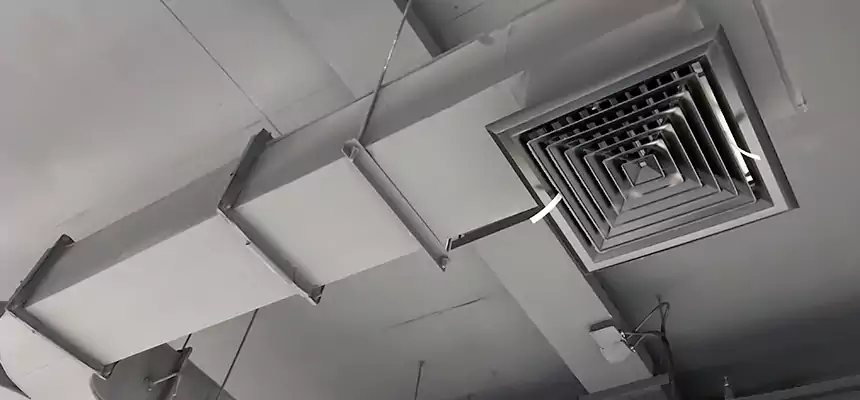 Restorative Allergy Relief Vent Cleaning – Coil, Blower & Housing Detail in Cinco Ranch