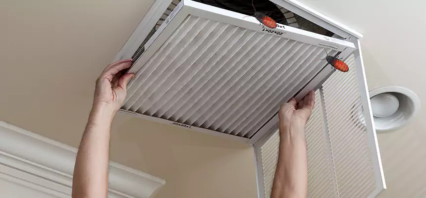 Our Insect Removal from Air Ducts Services in Cinco Ranch, TX