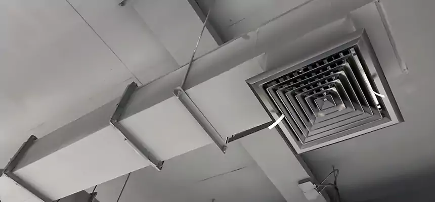 Our Rodent Droppings In Vents Services in Cinco Ranch, TX