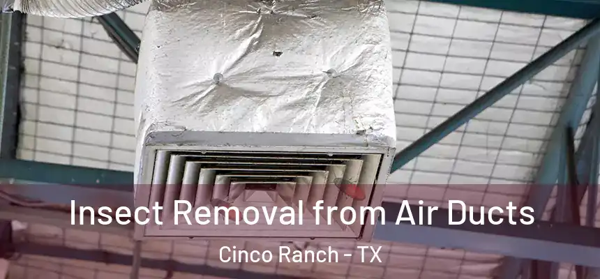  Insect Removal from Air Ducts Cinco Ranch - TX