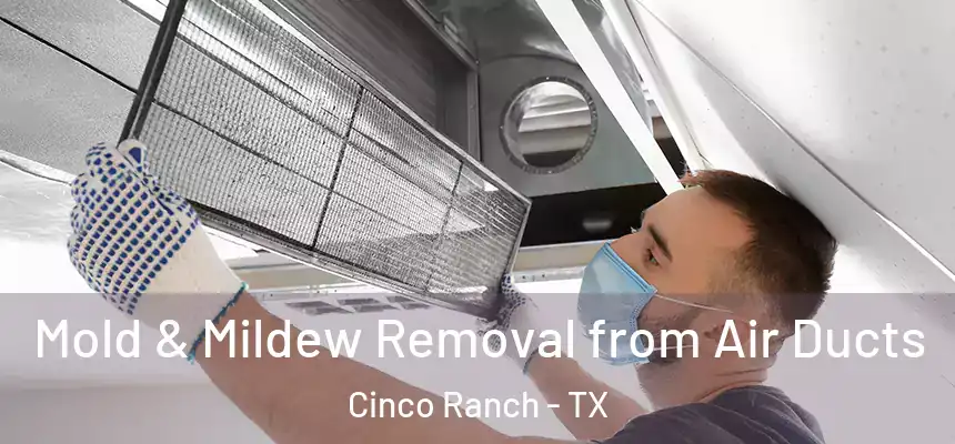  Mold & Mildew Removal from Air Ducts Cinco Ranch - TX