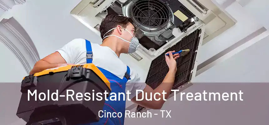  Mold-Resistant Duct Treatment Cinco Ranch - TX