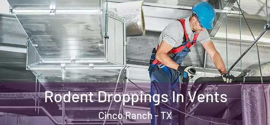  Rodent Droppings In Vents Cinco Ranch - TX