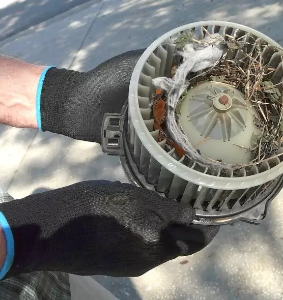 About Air Duct Mice Removal in Cinco Ranch, TX