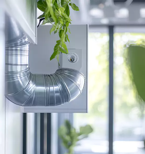 Professional Eco-Safe Dryer Vent Cleaning in Cinco Ranch, TX