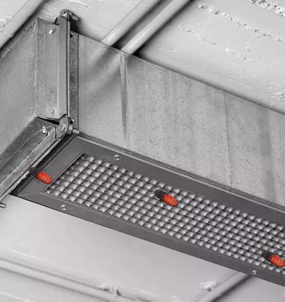 Affordable Insect Removal from Air Ducts in Cinco Ranch, TX