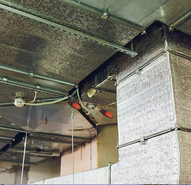 Why Homeowners & Businesses Trust Us in Cinco Ranch, TX?