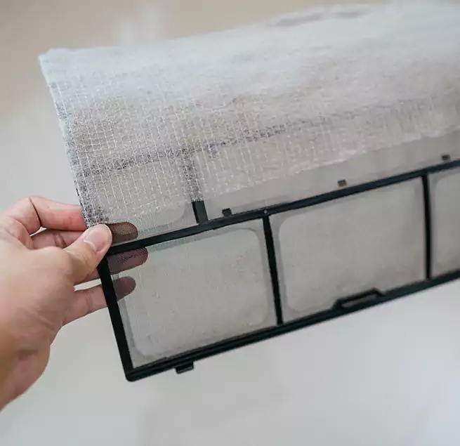 Why Homeowners & Businesses Trust Us in Cinco Ranch, TX?