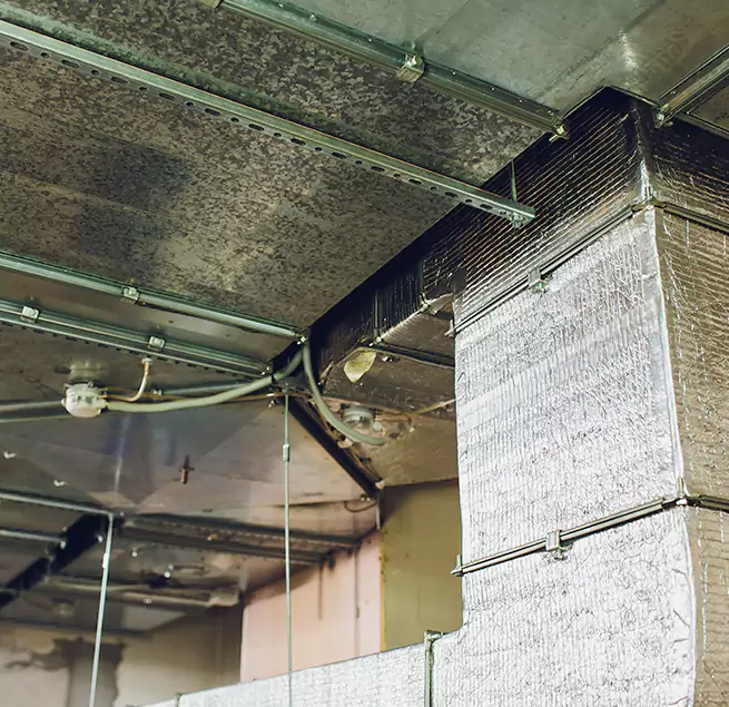 Why Homeowners & Businesses Trust Us in Cinco Ranch, TX?